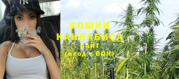 дмт Новодвинск