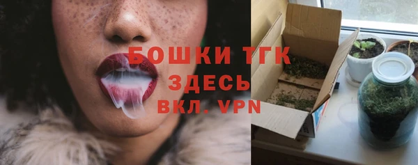 индика Краснослободск