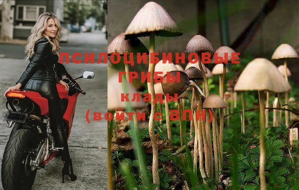 дмт Новодвинск