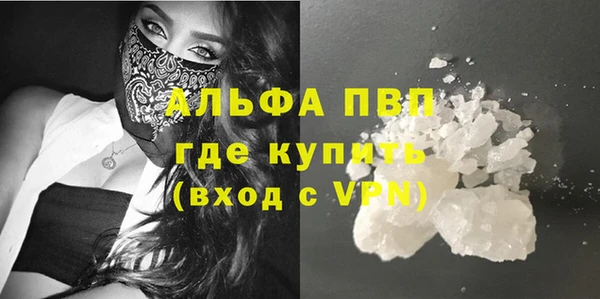 стаф Новокубанск