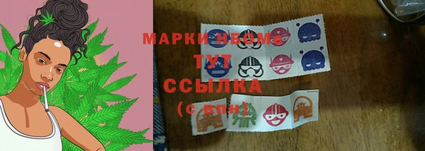 индика Краснослободск